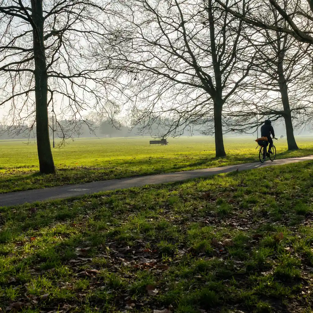 Cycliste sur une voie verte bordée d'arbres dans la brume matinale